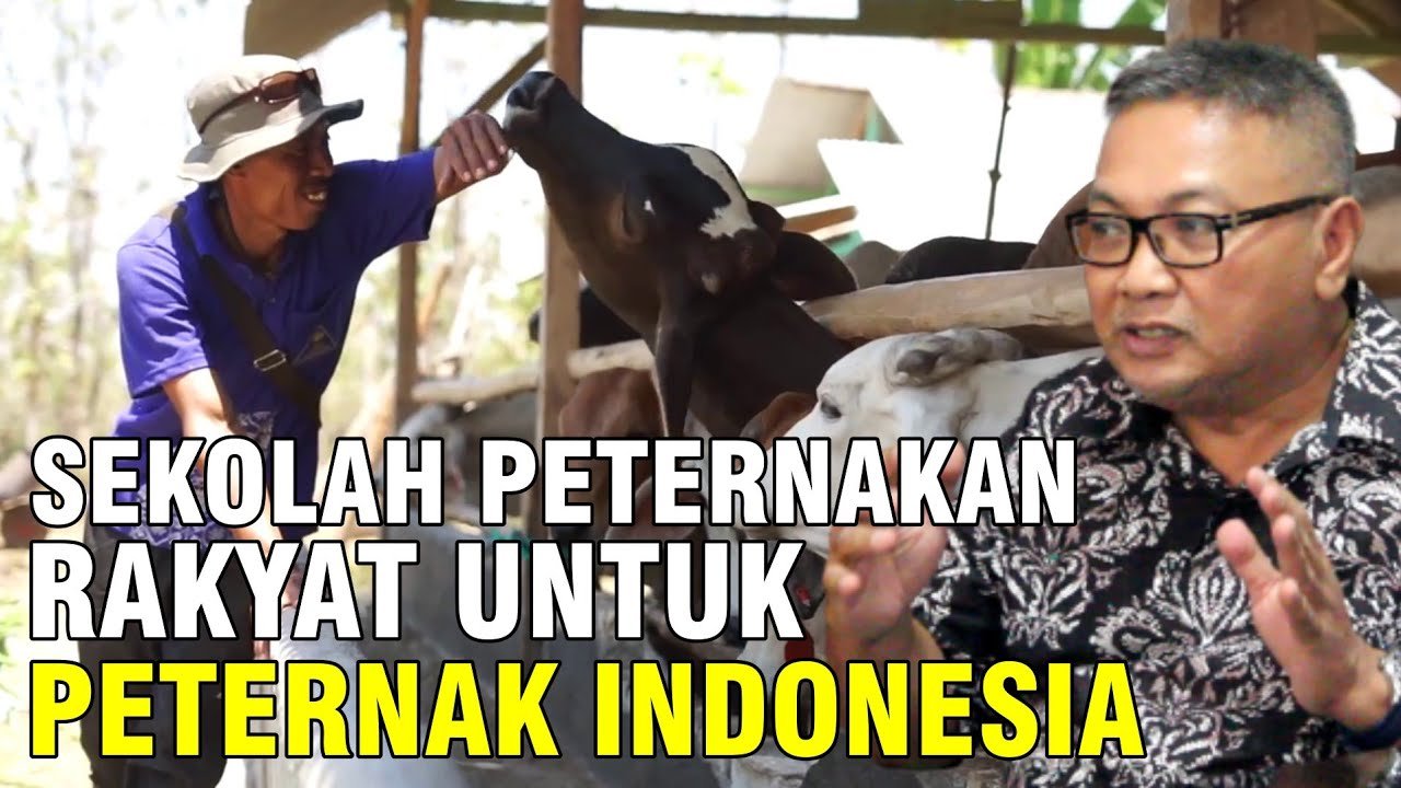 
                                 Mengenal-Sekolah-Peternakan-Rakyat-Untuk-Indonesia